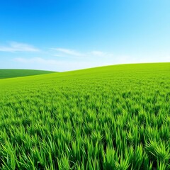 Fototapeta premium Lush green grass carpet stretching across a rolling meadow under a bright blue sky, scene, vivid