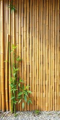 Bamboo wall, natural, organic, eco-friendly design,  organic,  design