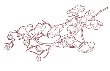 blossom branch. blossom branch. blossom branch.