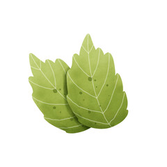 A hand-drawn perilla leaf illustration in a soft watercolor style. Ideal for food designs, labels, packaging, menus, and botanical-themed creative projects.
