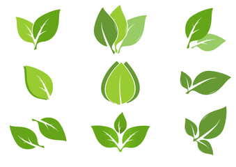 green leaves isolated set for natural eco design