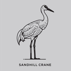 Naklejka premium Crane Collection of Wild Animal Vector Illustration