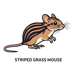 Naklejka premium Collection of Wild Animal Vector Illustrations 