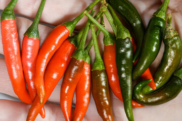 ​Red and Green Bird's Eye Chili Peppers (Prik Kee Noo) held in hand, macro close-up.