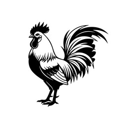 Fototapeta premium A bold and graphic black and white illustration of a standing rooster, perfect for a farm animal logo or poultry branding