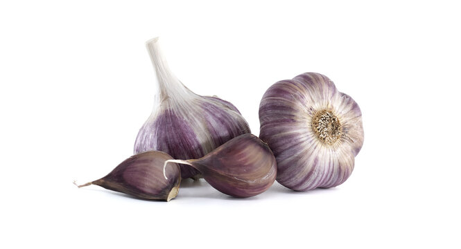 Fresh, organic purple garlic bulbs and cloves, beautifully isolated on white.