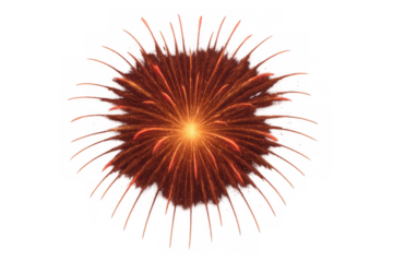 Firework bursting with vibrant sparks and light. Celebrating events, holidays, and parties. Transparent background