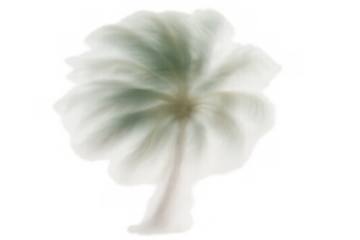 Dreamy cotton tree appearing soft and ethereal, floating with a transparent background, surreal abstract concept