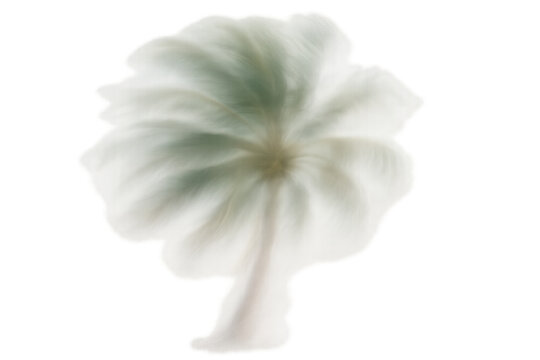 Dreamy cotton tree appearing soft and ethereal, floating with a transparent background, surreal abstract concept