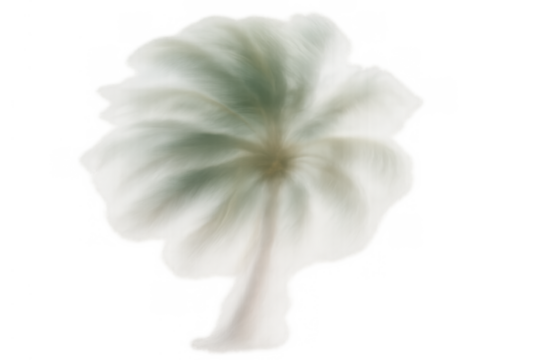 Dreamy cotton tree appearing soft and ethereal, floating with a transparent background, surreal abstract concept