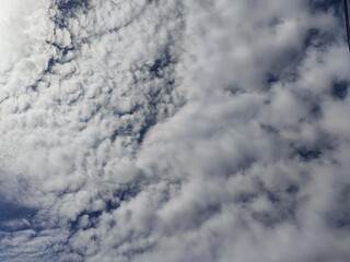 Cloudy Sky and Nature Trees Collection