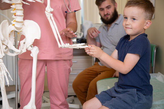Photo. Father brought son to woman doctor in pink uniform for checkup. Child is holds, hand of plastic model of human skeleton. Man with beard out of focus in hospital clinic office. Health care, heal