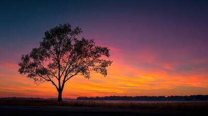 Silhouette of tree against vibrant sunset, calm and natural contrast.