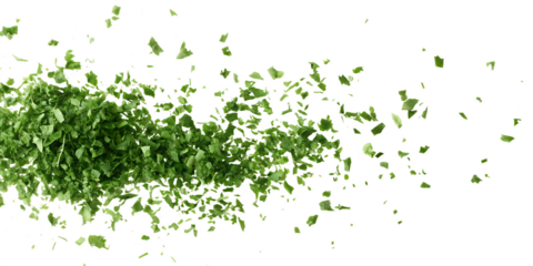 Chopped dried coriander leaves scattered in air isolated on a transparent background