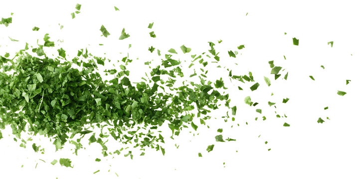 Chopped dried coriander leaves scattered in air isolated on a transparent background