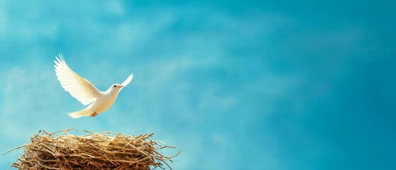 A white dove takes flight from a nest against a clear blue sky, symbolizing peace and freedom.