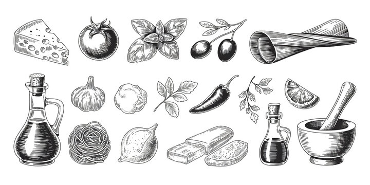 Hand-drawn illustration of Italian food ingredients arranged in two rows. The top row features a wedge of cheese with cross-hatching, a whole tomato, fresh basil leaves with stems, black olives. - Powered by Adobe