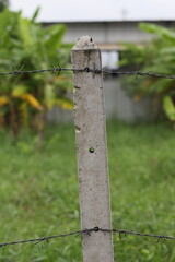 Concrete fence post with barbed wire against a blurred green background