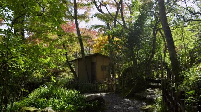 Tiny house inside Japanese landscape garden during vibrant fall color season