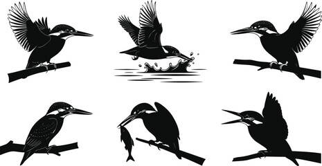 Kingfisher silhouette vector set, flying and perched birds, fishing action poses, wildlife illustration elements, black bird icons for nature design