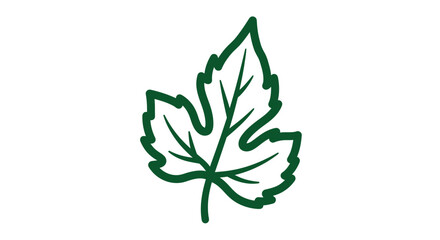 Single green leaf with jagged edges, isolated on a white background.