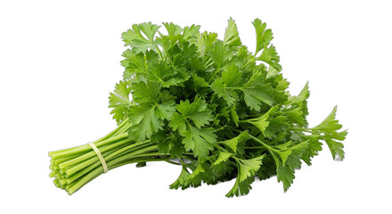 A fresh bunch of vibrant green curly parsley herb isolated on a clean white background. PNG Transparent