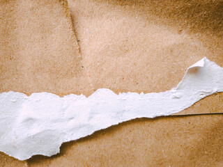 torn paper background