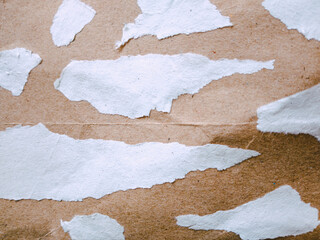 torn paper background