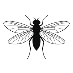 Black and white illustration of a common insect, depicting its body, wings, and legs in a simple, graphic style