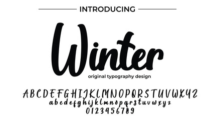 Winter - Elegant Script Font for Smooth Handwritten Design and Creative Typography