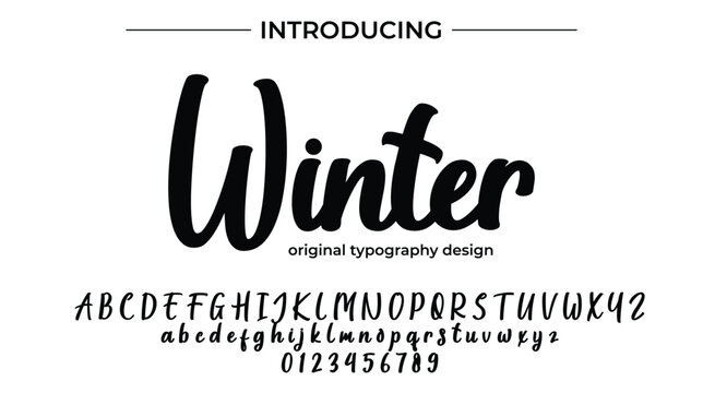 Winter - Elegant Script Font for Smooth Handwritten Design and Creative Typography