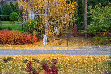 Vivid colours of autumn landscape in the countryside.
