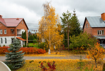 Vivid colours of autumn landscape in the countryside.