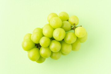 グリーン背景に1房のシャインマスカット