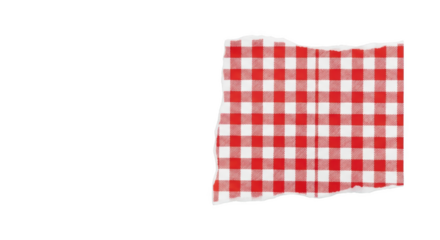 Red and white gingham fabric swatch with torn edges isolated on a transparent background checkered textile