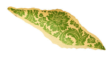 Torn antique paper fragment with green floral damask pattern isolated on a transparent background image