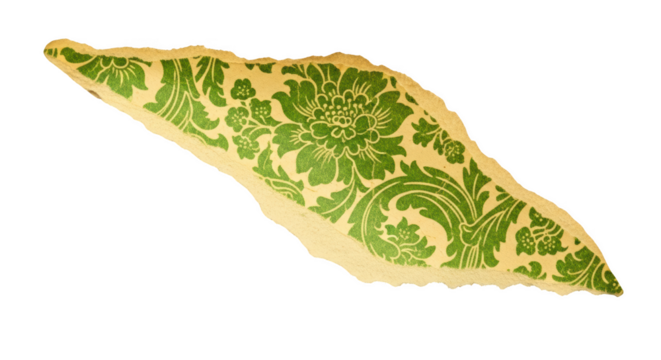 Torn antique paper fragment with green floral damask pattern isolated on a transparent background image