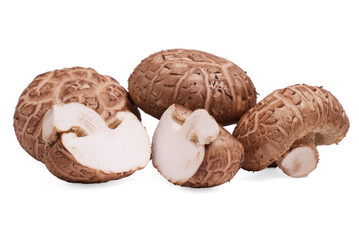 Fresh Shiitake mushroom on white background.