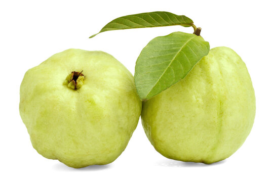 Fresh Guava fruit with sliced isolated on white background.