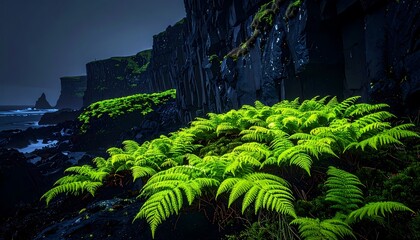 Lush Green Ferns Thrive on a Dark Moody Cliffside Landscape.