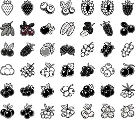Collection of 40 Fresh Berries Icons Including Strawberries Blueberries Raspberries Blackberries and More Isolated