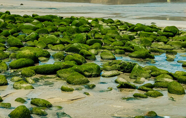 Naturaleza regeneradora