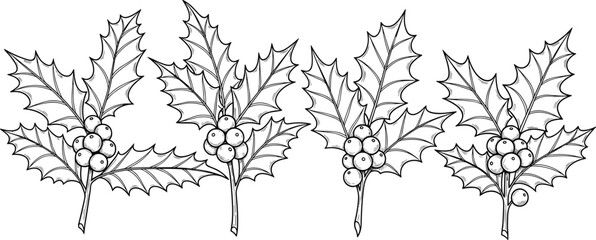 Hand drawn holly leaves with berries set, Christmas botanical vector illustration, black and white winter sketch, isolated holiday decoration.