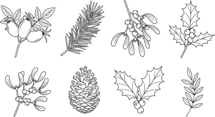 Hand drawn Christmas botanical elements, holly, mistletoe, pinecone, winter vector illustration, black and white line art for holiday floral design.