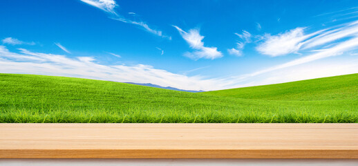 Tranquil Green Meadow Scene: A serene landscape, with a vast green meadow under a bright blue sky, the focal point highlighted by a natural wooden table providing an inviting foreground.