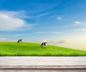 Cows Grazing on Green Hill: Two cows graze peacefully on a lush, rolling green hill under a vibrant blue sky, creating a scene of rural tranquility.