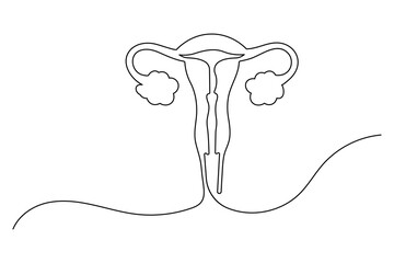 Female reproductive system uterus and ovary continuous one line drawing of minimalist vector illustration