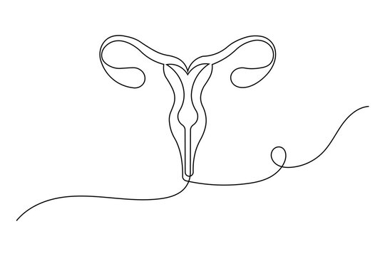 Female reproductive system uterus and ovary continuous one line drawing of minimalist vector illustration