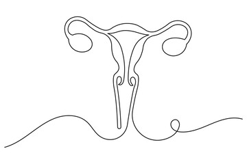 Women's Uterus and Ovary continuous one line drawing, Female reproductive system uterus isolated vector illustration