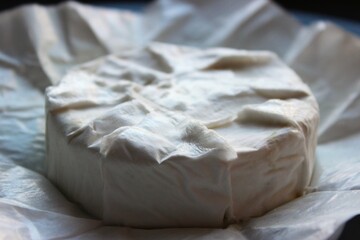 Round camembert with smooth white rind sits on its opened wrapper. Clean minimal food photo for packaging, recipe cards and menus.